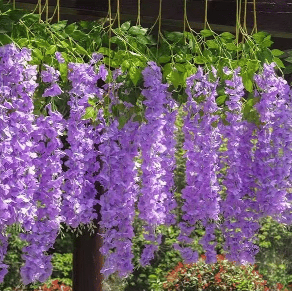 ✨This Week's Special Sale 49% Off - UV Simulation Artificial Wisteria-unitmotor™