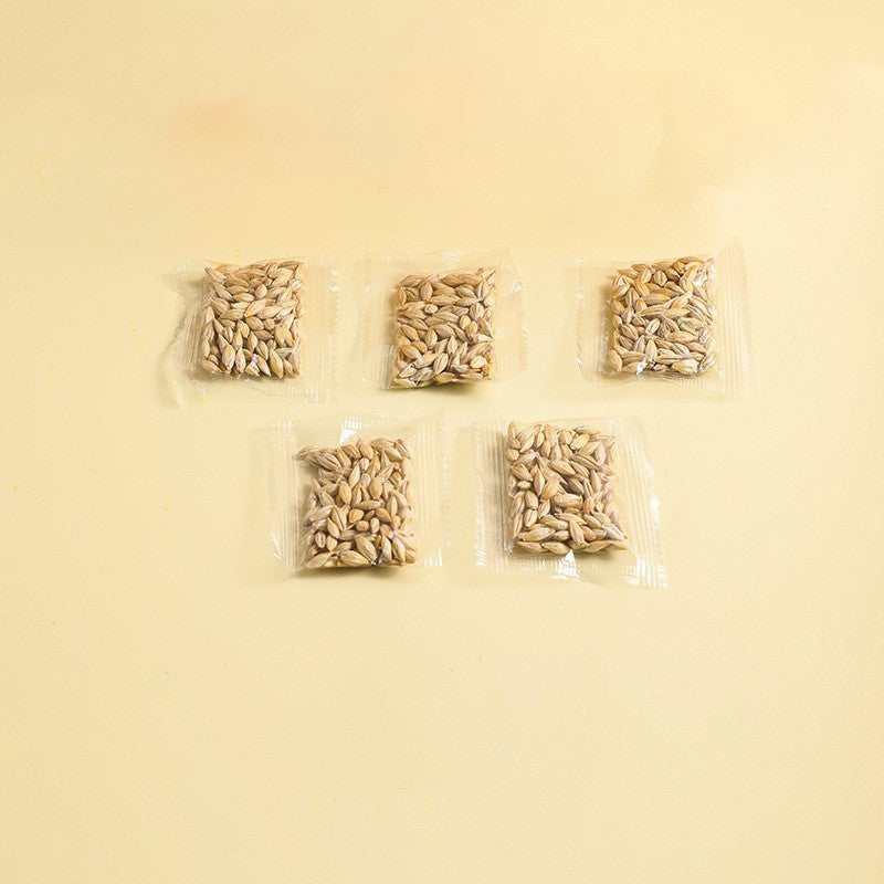 š± Cat Grass Seeds-Easy to Grow-unitmotorā¢
