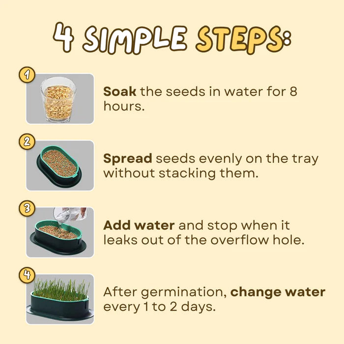 š± Cat Grass Seeds-Easy to Grow-unitmotorā¢