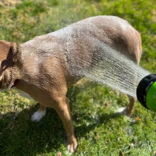 Multi-mode Dog Bath Foaming Water Gun-unitmotor™