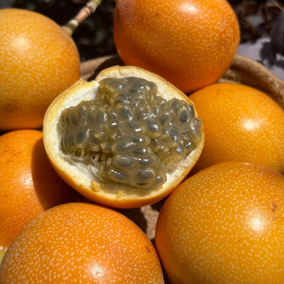 Colombian Passion Fruit - Love Fruit Seeds