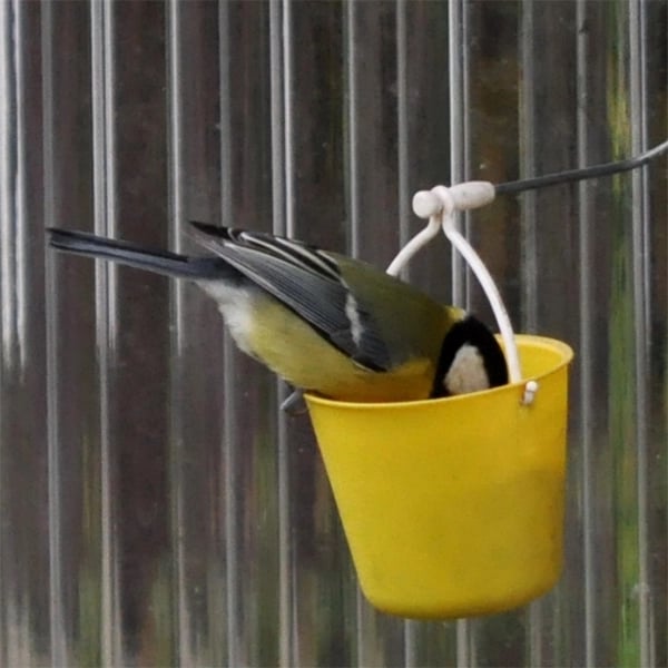 Ferris Wheel Bird Feeder 🐦-unitmotor™