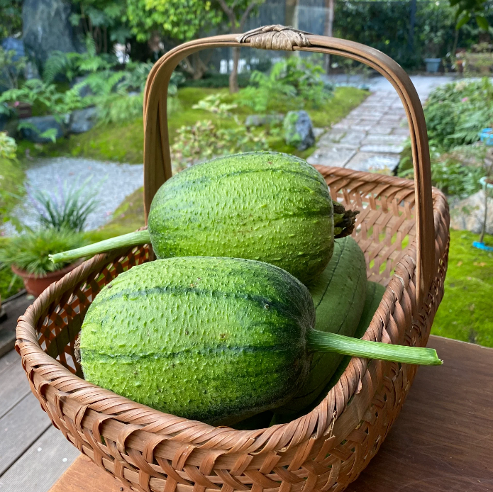 Apple Luffa Seeds-unitmotor™
