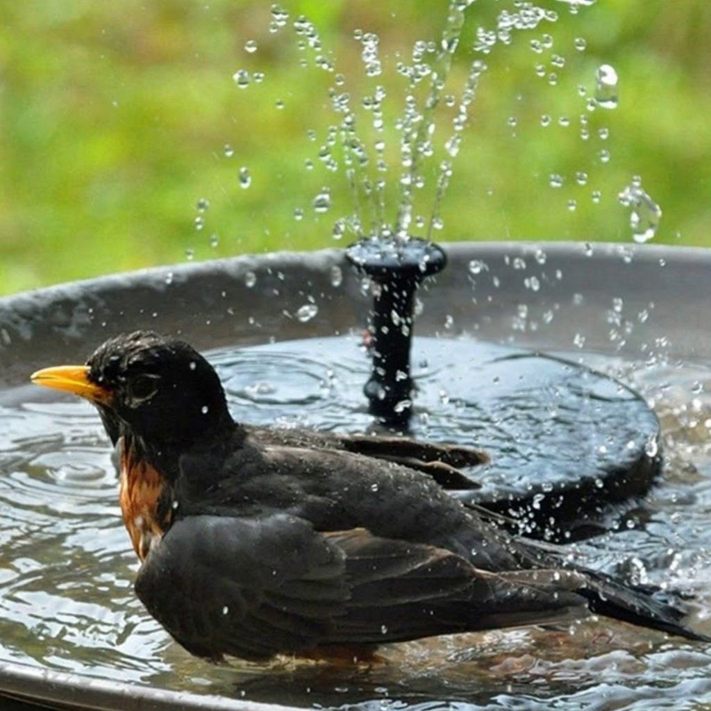 💥This Week's Special Price $26.99🔥FreeSolar Garden Fountain