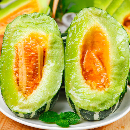 Honey Rock Melon Seeds Muskmelon Seeds-unitmotor™