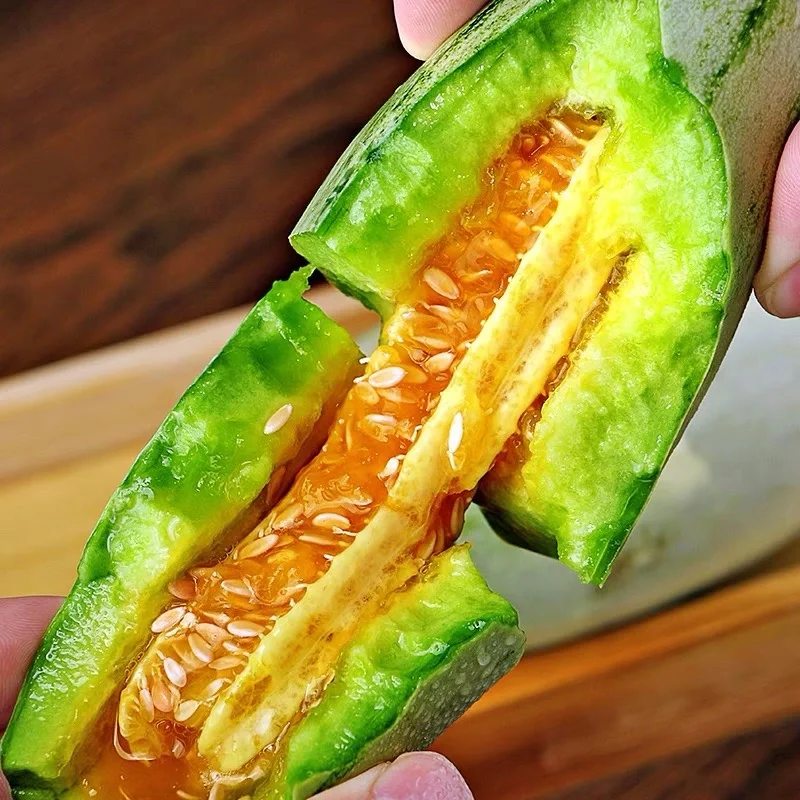Honey Rock Melon Seeds Muskmelon Seeds-unitmotor™