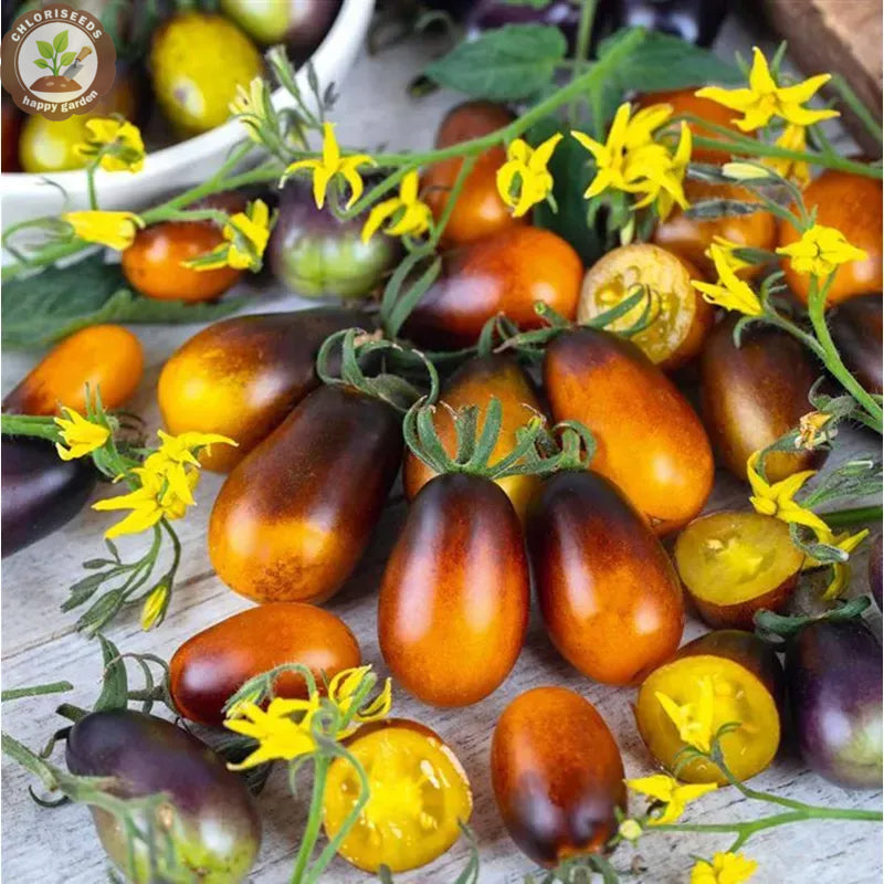 Waterfall Tomatoes Seeds-High Yield-unitmotor™