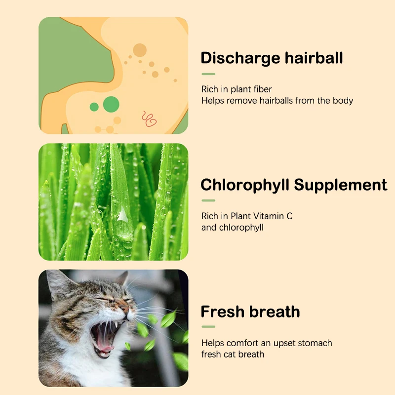 š± Cat Grass Seeds-Easy to Grow-unitmotorā¢