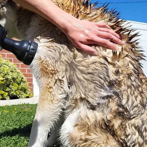 Multi-mode Dog Bath Foaming Water Gun-unitmotor™