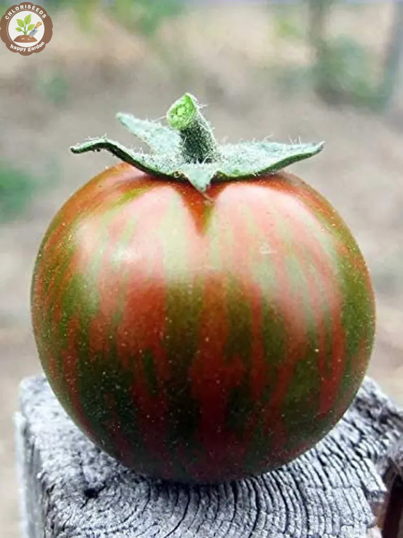 Waterfall Tomatoes Seeds-High Yield-unitmotor™