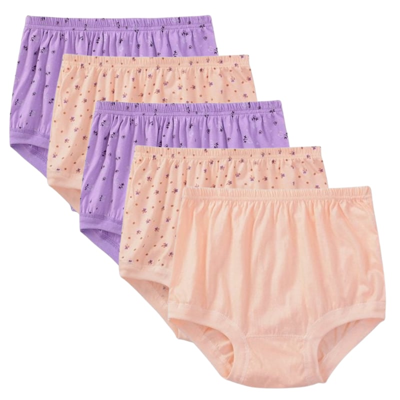 High-Waist Ladies Cotton Panties Plus Sizes💥5pcs Only $24.98 Today🔥-unitmotor™