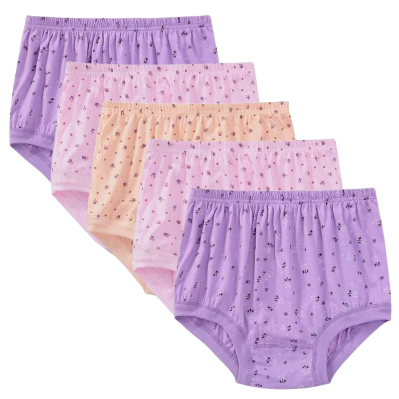 High-Waist Ladies Cotton Panties Plus Sizes💥5pcs Only $24.98 Today🔥-unitmotor™