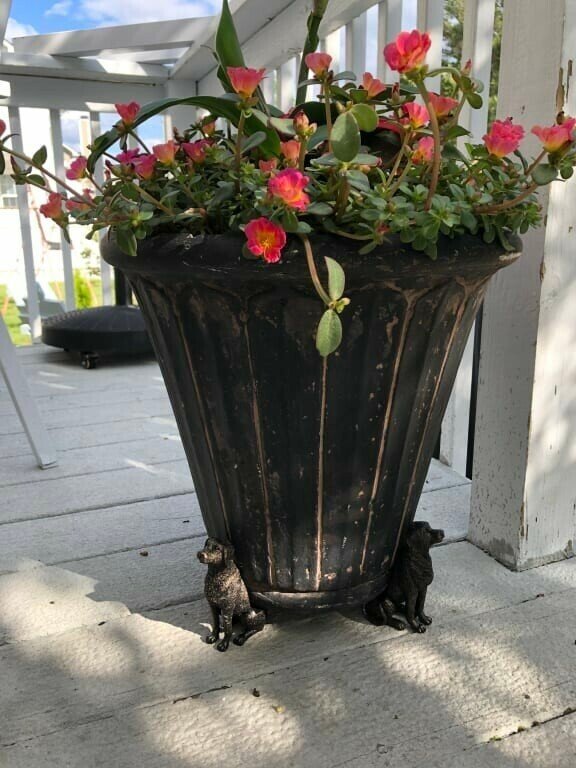 unitmotor™-Potty Feet Plant Pot Feet