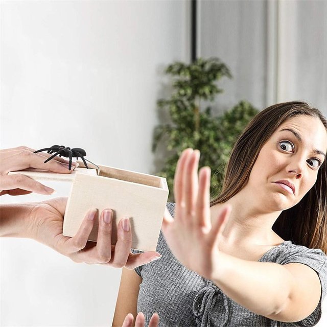 Super Funny Crazy Prank Gift Box Spider-unitmotor™