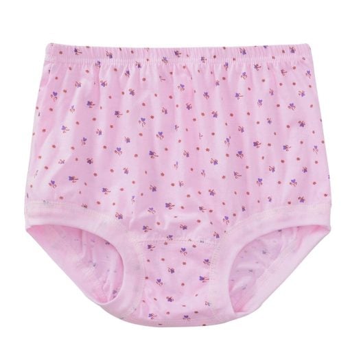 High-Waist Ladies Cotton Panties Plus Sizes💥5pcs Only $24.98 Today🔥-unitmotor™