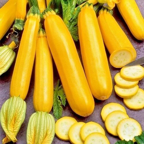 Golden Zucchini Seeds-unitmotor™