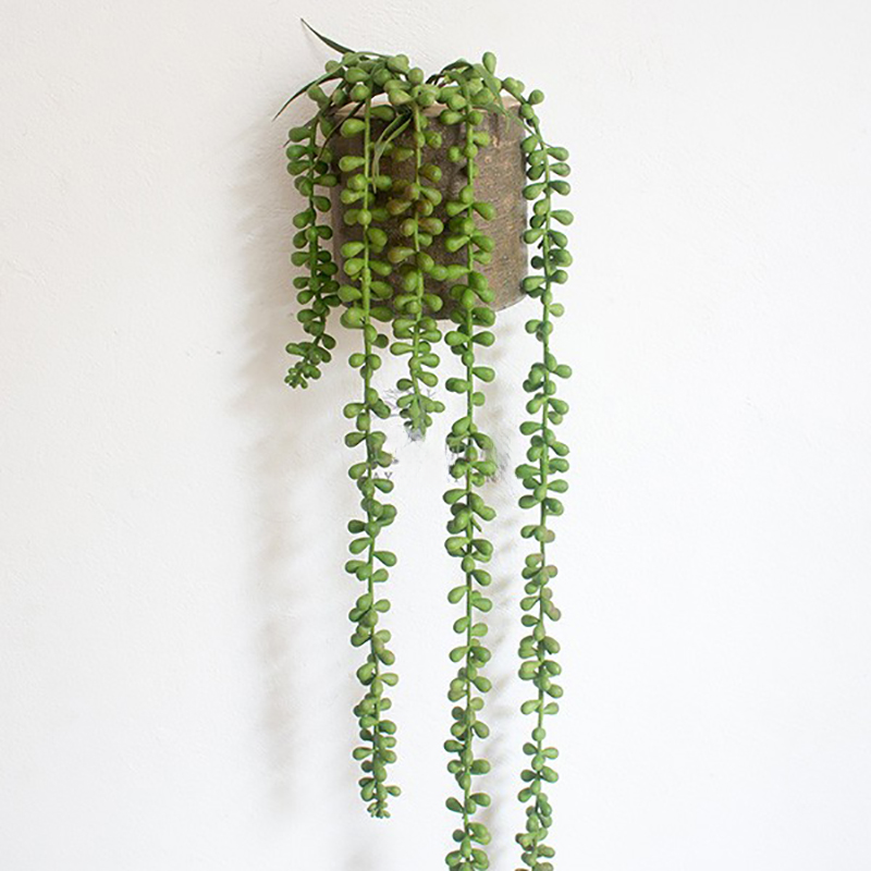 French Moss Wall Hanging Plant Decoration-unitmotor™