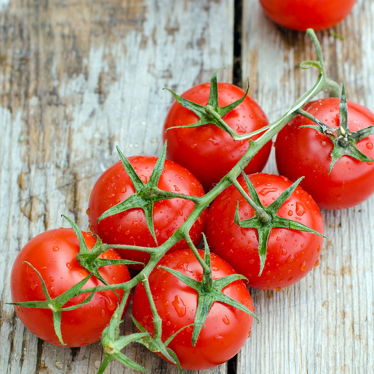 Dwarf Tomatos Seeds-unitmotor™