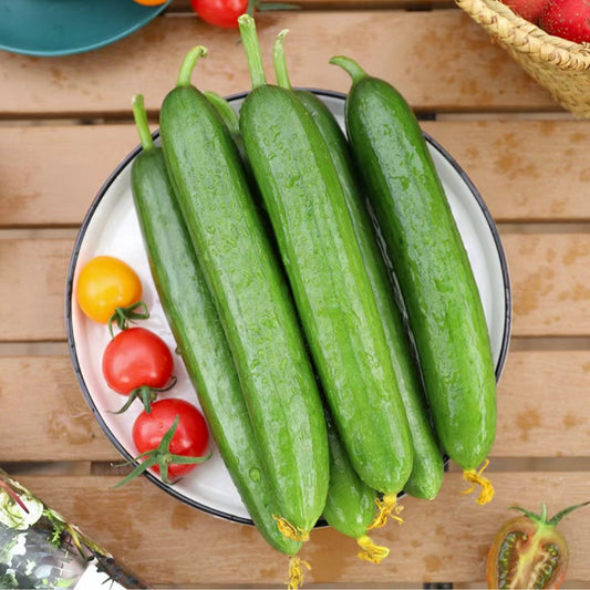 Fruit Cucumber Seeds-unitmotor™