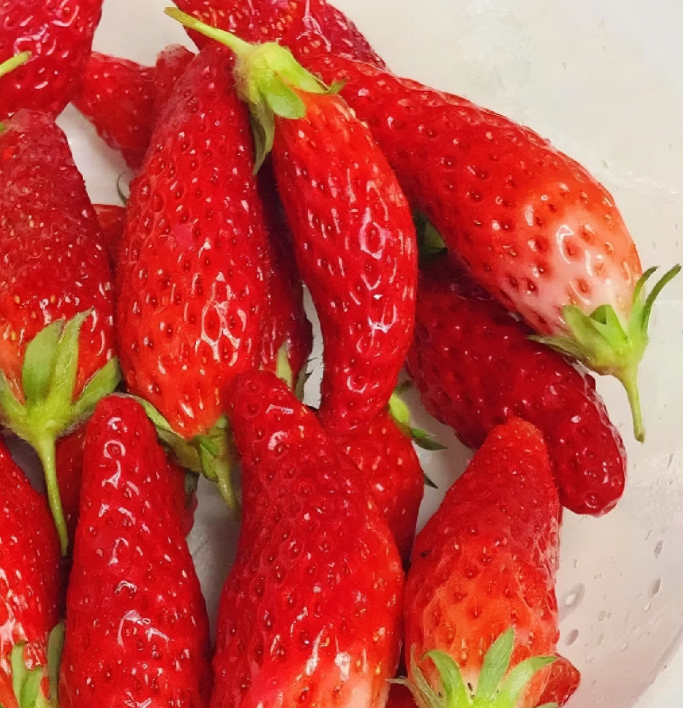 Rare Chili Strawberry Fruits Seeds-unitmotor™