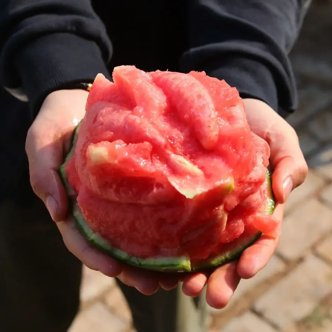 🍉Thin Skin Ruby Mini Watermelons Seeds-unitmotor™