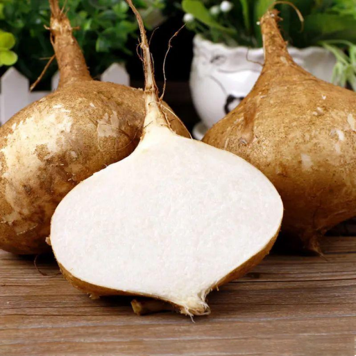 Jicama Pachyrhizus Erosus Seeds-unitmotor™