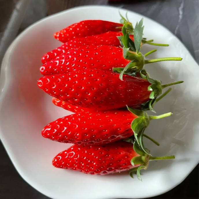 Rare Chili Strawberry Fruits Seeds-unitmotor™