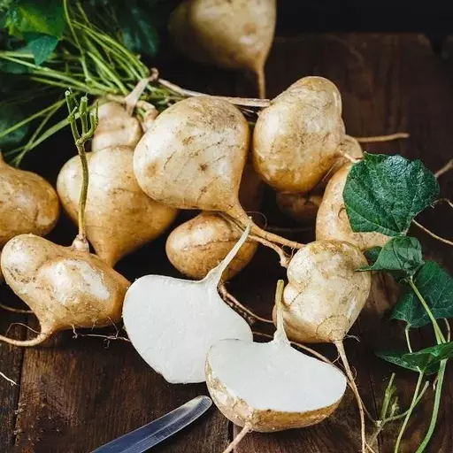 Jicama Pachyrhizus Erosus Seeds-unitmotor™