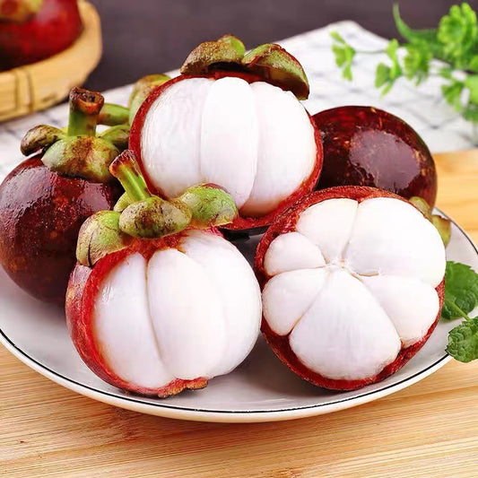 Mangosteen Seeds