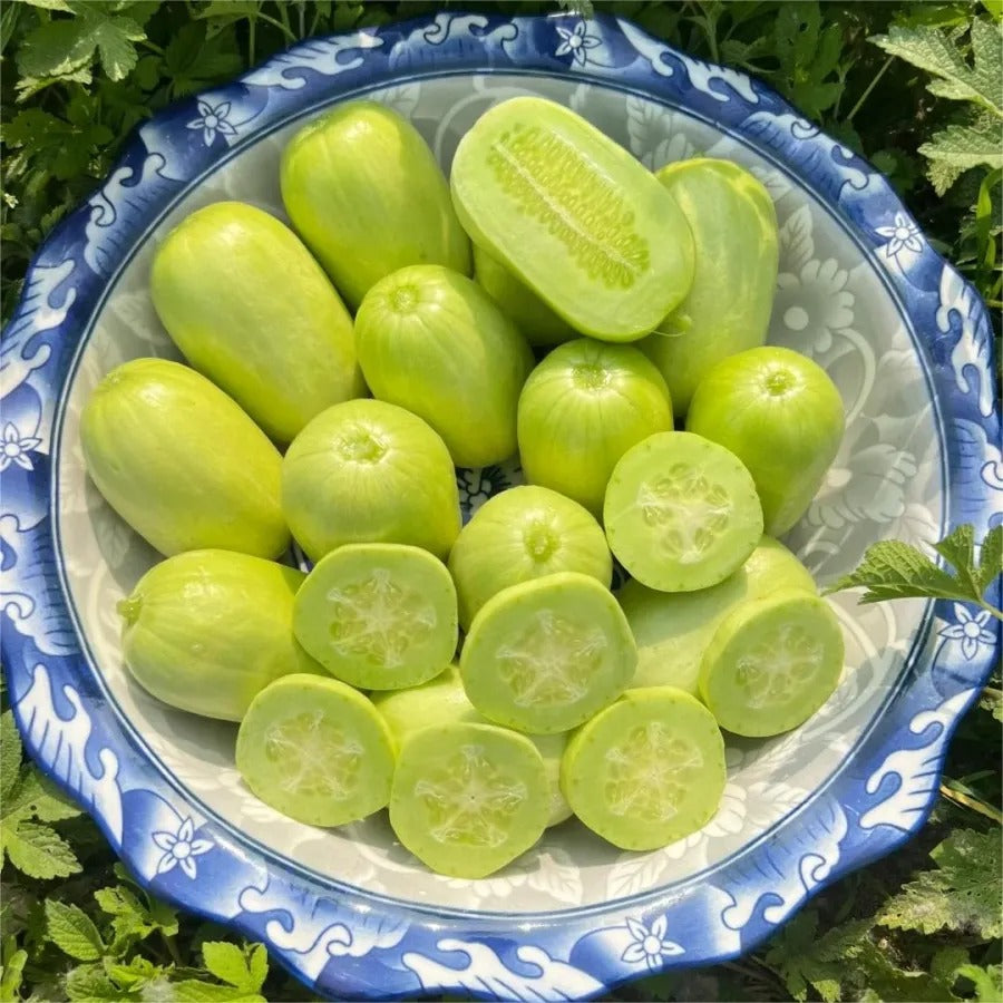 🥒Jade Maiden Cucumber – sweet, crunchy and refreshing