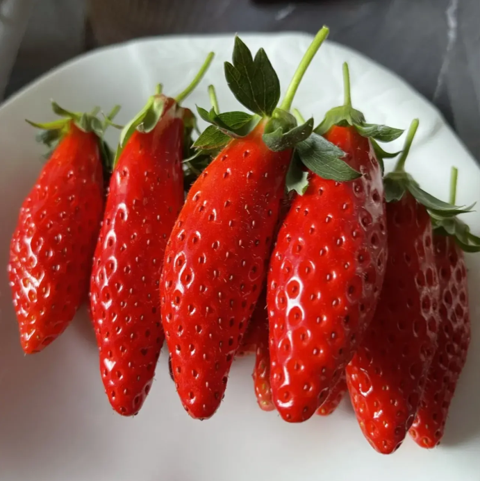 Rare Chili Strawberry Fruits Seeds-unitmotor™