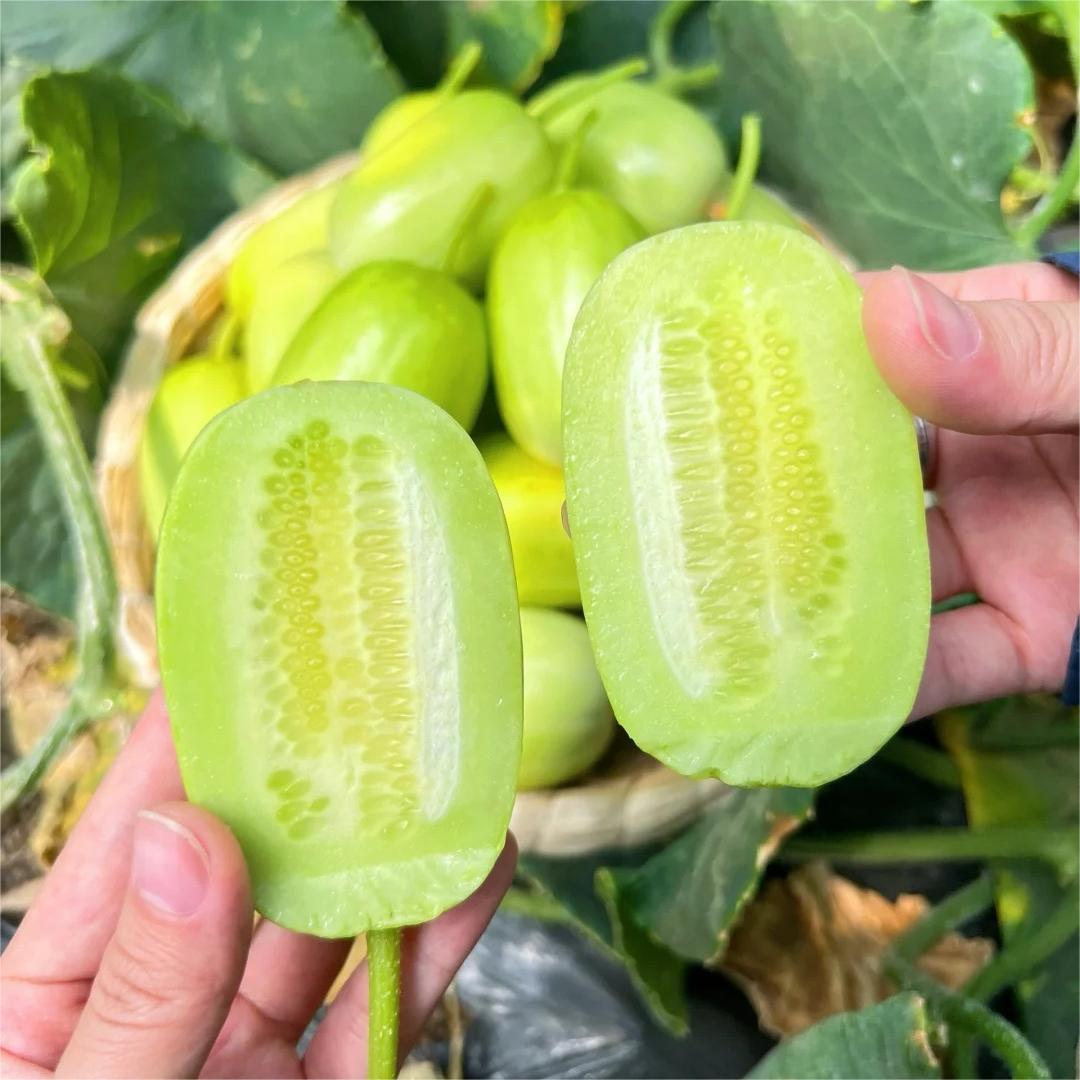 🥒Jade Maiden Cucumber – sweet, crunchy and refreshing