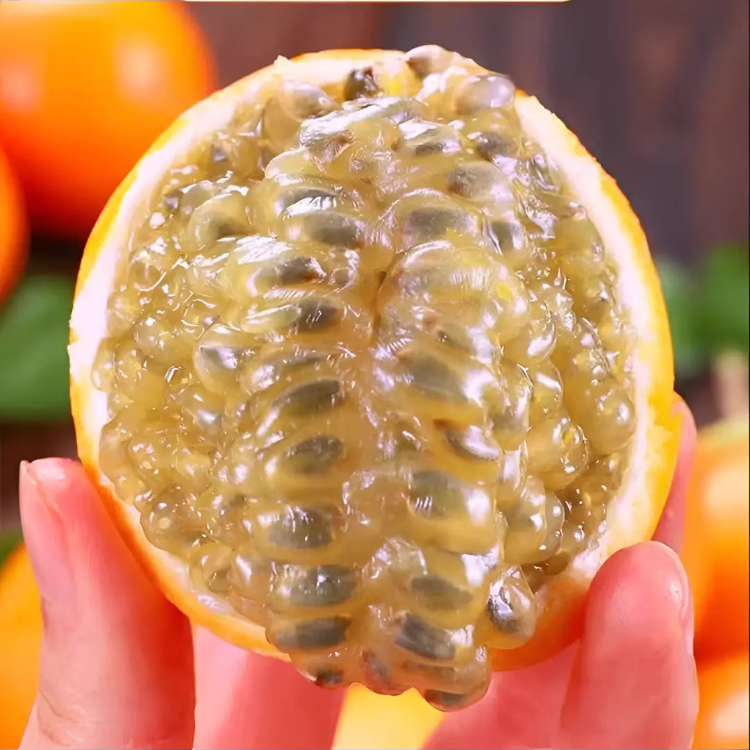 Colombian Passion Fruit - Love Fruit Seeds
