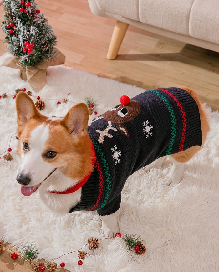 🔥Christmas Promotion 49% Off🔥Pets' Christmas Warm Clothes-unitmotor™