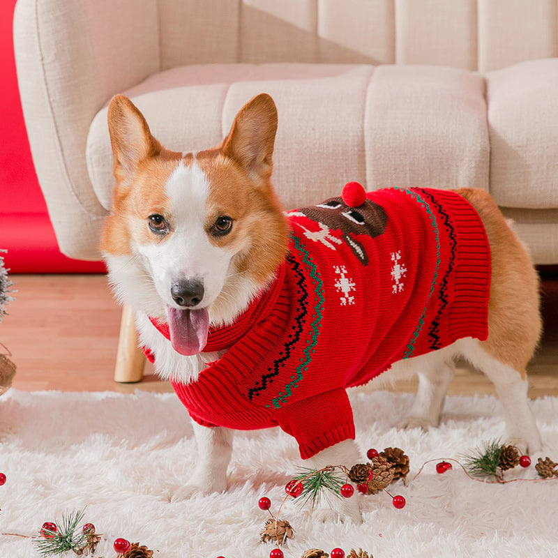 🔥Christmas Promotion 49% Off🔥Pets' Christmas Warm Clothes-unitmotor™