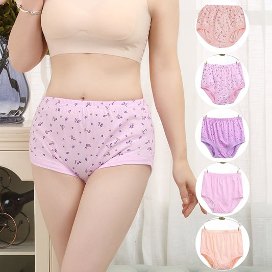 High-Waist Ladies Cotton Panties Plus Sizes💥5pcs Only $24.98 Today🔥-unitmotor™