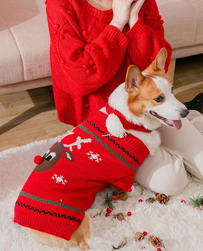 🔥Christmas Promotion 49% Off🔥Pets' Christmas Warm Clothes-unitmotor™