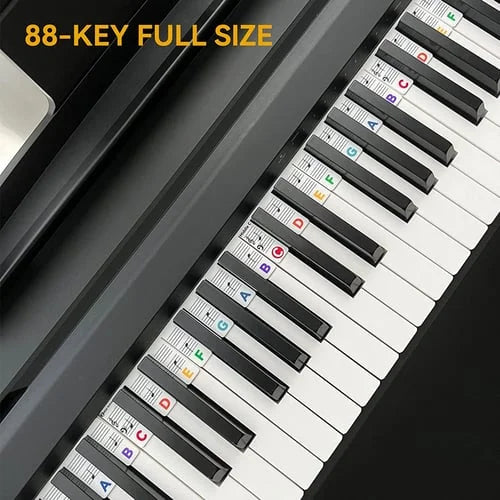 🎁Best Gift - Removable Piano Keyboard Note Labels🎹-unitmotor™