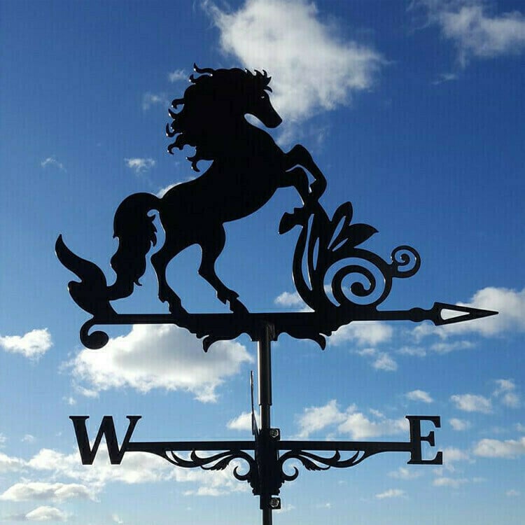 🔥49% OFF - 🏠Stainless Steel Weathervane-unitmotor™